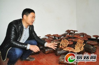 熊興桂：返鄉(xiāng)創(chuàng)業(yè)種靈芝 引領鄉(xiāng)親齊致富 ()