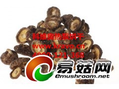 香菇烘干机  汕头市科维奥香菇干燥设备图1