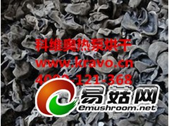 木耳烘干机  汕头市科维奥木耳干燥设备图1