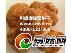 猴头菇烘干机  汕头市科维奥猴头菇干燥设备图1