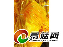 介绍下网眼袋的材质图1