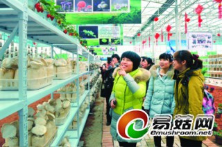 安徽蕪湖：菌菇文化體驗(yàn)館開放 ()