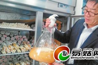 韓國(guó)愛上濟(jì)陽香菇 訂單多貨不足 ()