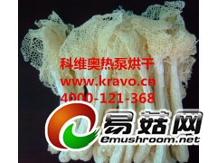 竹荪烘干机  汕头市科维奥竹荪干燥设备图1