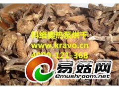 榛磨烘干机  汕头市科维奥榛磨干燥设备图1