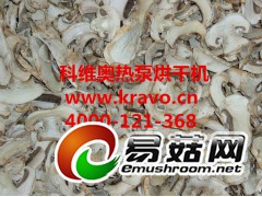蘑菇烘干机  汕头市科维奥蘑菇干燥设备图1
