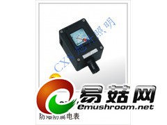 CBYB防爆防腐电表|河南防爆防腐仪表厂家图1