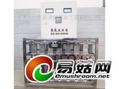 武城玻璃钢中央空调机组臭氧发生器图1