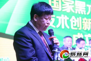 齊振東：聯(lián)盟的成立既是務(wù)實(shí)之舉，又是共贏之舉 ()