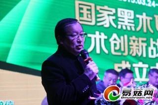 劉國(guó)祥：建立以市場(chǎng)為導(dǎo)向的黑木耳產(chǎn)業(yè)技術(shù)創(chuàng)新體系 ()