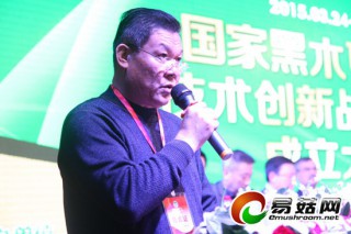 劉兵：我國(guó)黑木耳栽培即將進(jìn)入工廠化、設(shè)施化階段 ()