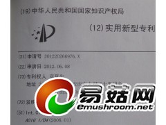 专利证书图1