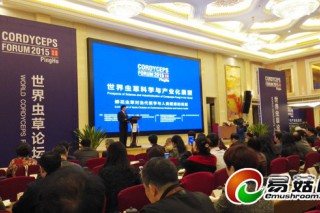 世界蟲草論壇在平湖舉行 蟬花蟲草可用于治療慢性腎衰 ()