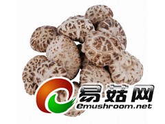 批发河北承德香菇图1