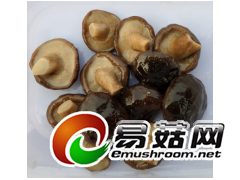 盐渍香菇图3