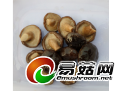 盐渍香菇图2