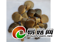 盐渍平菇图1