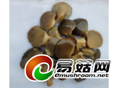 盐渍平菇图3
