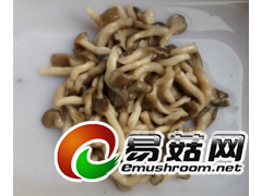 盐渍姬菇图3