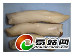 盐渍杏鲍菇图2