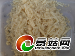 盐渍金针菇图1