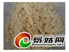 盐渍金针菇图3