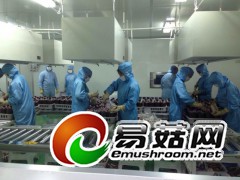 食用菌工厂化净化厂房设计施工图1