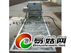 食用菌去杂清洗机图1