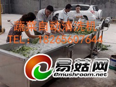 食用菌去杂清洗机图2
