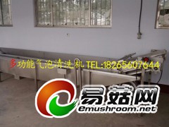 食用菌去杂清洗机图3