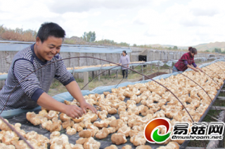 黑龍江穆棱市：六類食菌品獲有機產(chǎn)品認證 ()