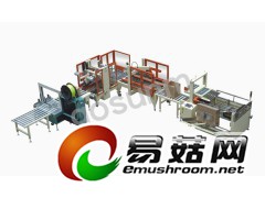 自动流水包装线图1