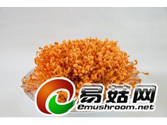 虫草花批发蛹虫草图2