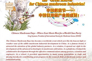 第九屆中國蘑菇節(jié)吹響集結(jié)號，敬請關(guān)注！ ()