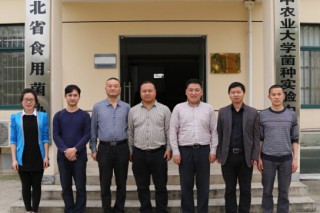 2015第二屆全國豬苓會議籌備會座談會在武漢召開 ()