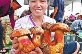云南食用菌產(chǎn)業(yè)如何實現(xiàn)可持續(xù)發(fā)展 ()