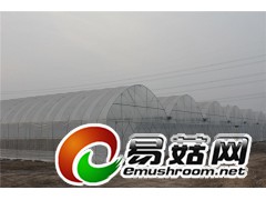 厂家直销大棚大棚骨架大棚厂家图2