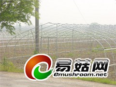 厂家直销食用菌大棚蘑菇大棚大棚厂家图1