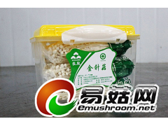 羲皇金针菇礼品盒图1