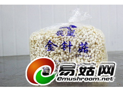 羲皇金针菇大包装图1
