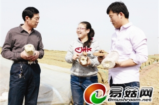 山東90后女村官走食用菌致富路 ()