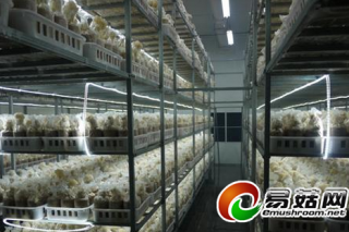 拉薩將新建兩座食用菌基地　工廠化生產(chǎn) ()