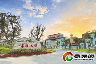 江蘇鹽城建成國內(nèi)最全面菌菇類網(wǎng)絡(luò)銷售平臺(tái) ()
