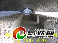 食用菌温室大棚建造方法 大棚搭建价格图2