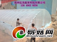食用菌温室大棚建造方法 大棚搭建价格图3