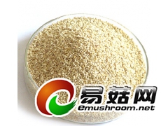 玉米芯颗粒，纯白玉米芯颗粒，金针菇用玉米芯,玉米棒子图3