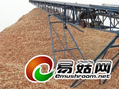 出口玉米芯颗粒,棉渣,麸皮稻草,麦秆,牛粪,棉籽壳图3