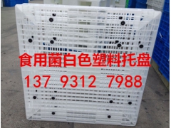 白色食用菌塑料托盘 双面网格白色塑料托盘图1