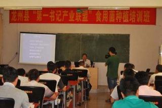 廣西龍州：食用菌培訓(xùn)開班  第一書記“受教育” ()