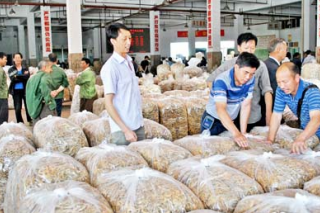 古田縣加強食用菌質(zhì)量監(jiān)管 力創(chuàng)出口示范區(qū) ()